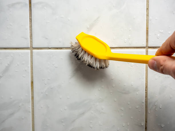 Best Mold Testing and Inspection Services in Kingman, KS