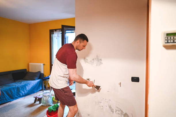 Best Emergency Mold Remediation in Kingman, KS