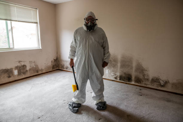 Professional Mold Remediation in Kingman, KS